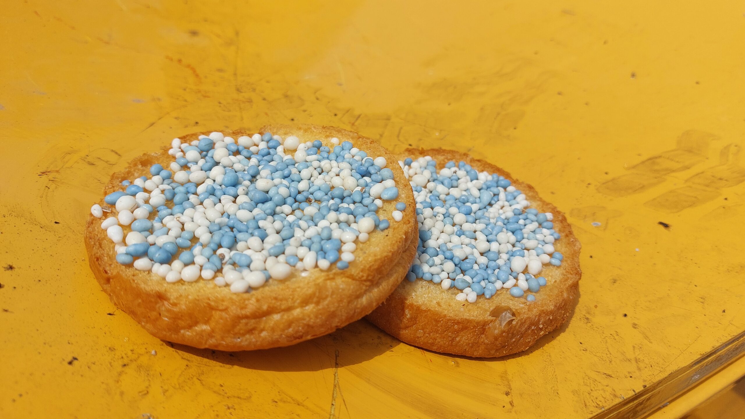 Dutch biscuit with sprinkles as a treat to celebrate a birth