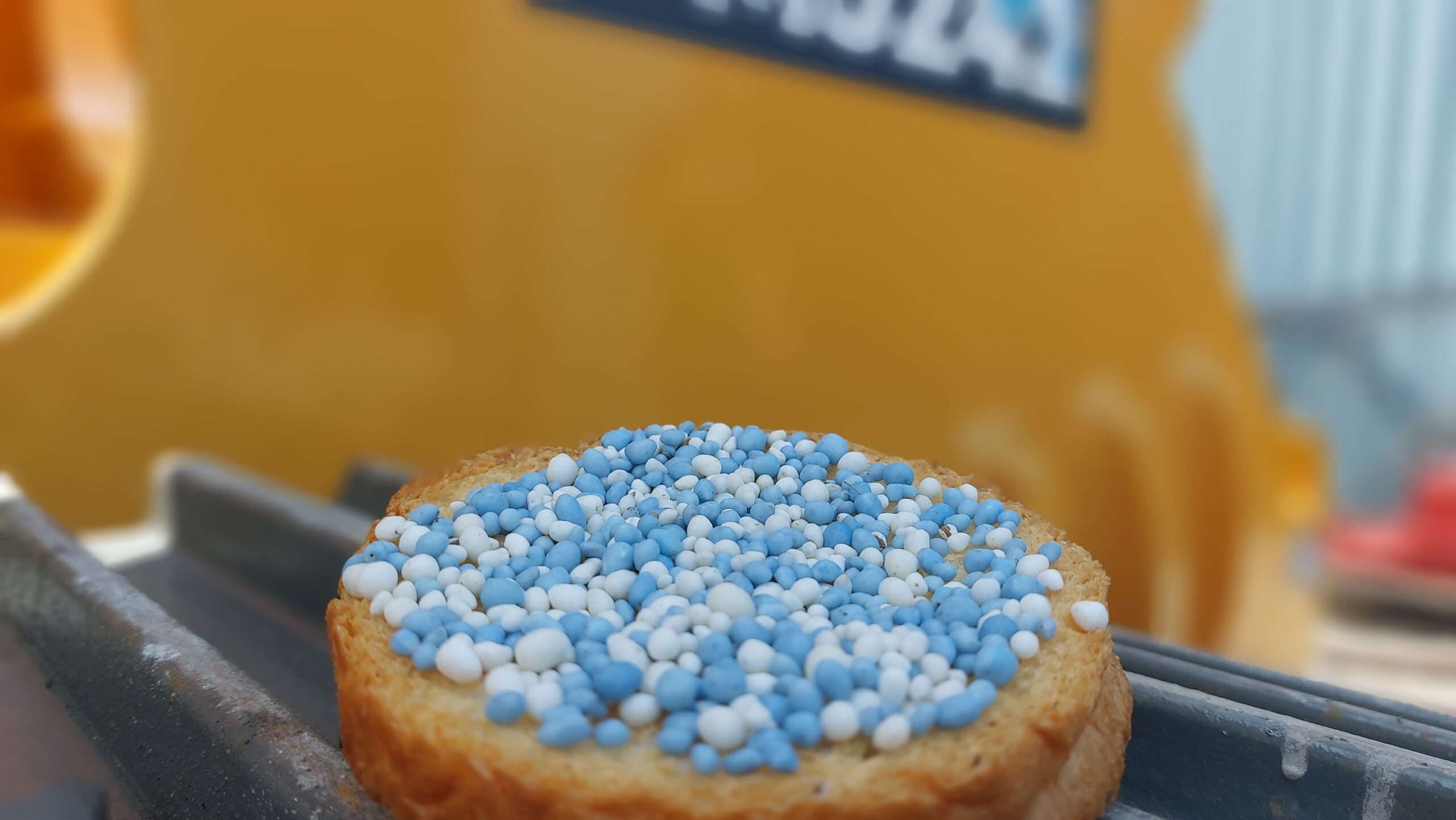 Dutch biscuit with sprinkles as a treat to celebrate a new born